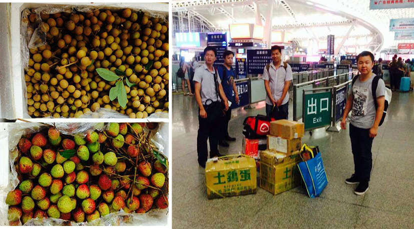 麻花传媒XK8046（dé）股份